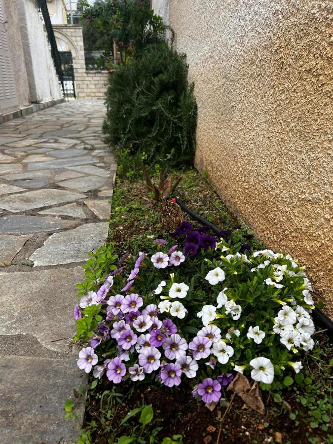Dionysus Apartments & Studios Syvota Exterior photo