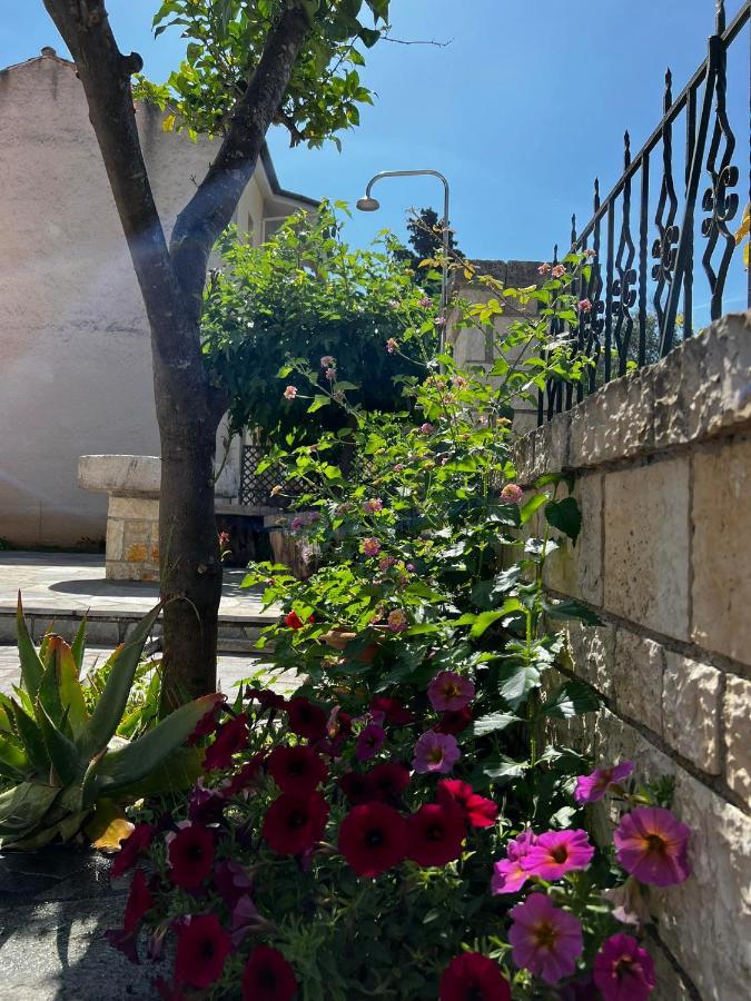 Dionysus Apartments & Studios Syvota Exterior photo